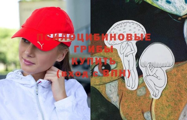 2c-b Покачи